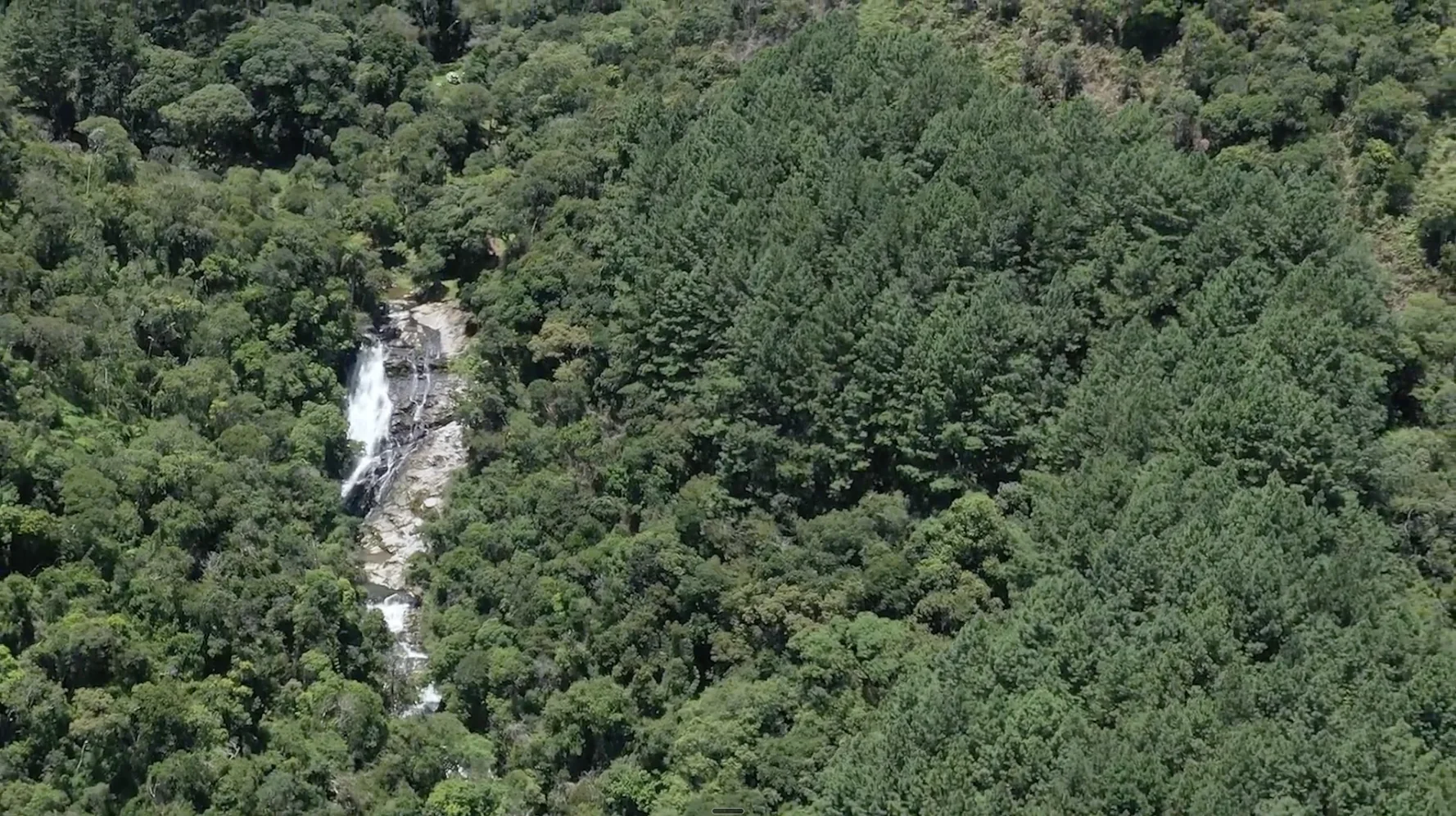 Cachoeira preservada em meio à Mata Atlântica
